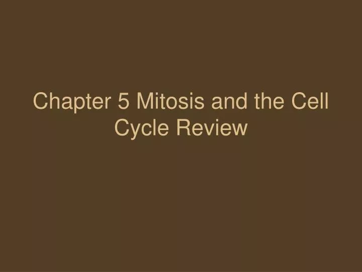 chapter 5 mitosis and the cell cycle review