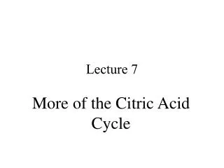lecture 7