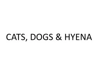 CATS, DOGS &amp; HYENA