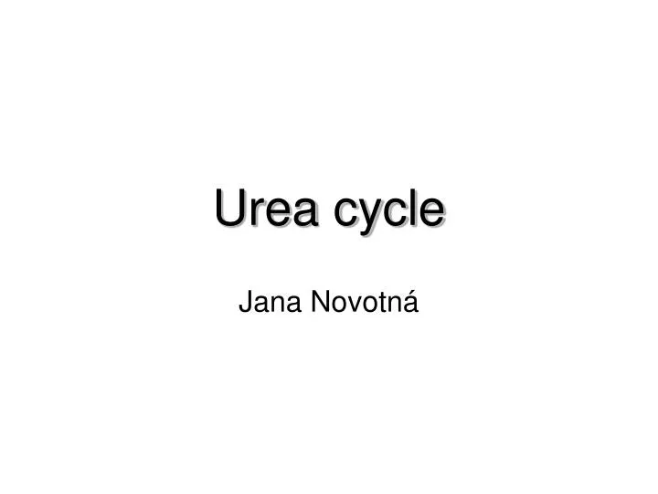 urea cycle
