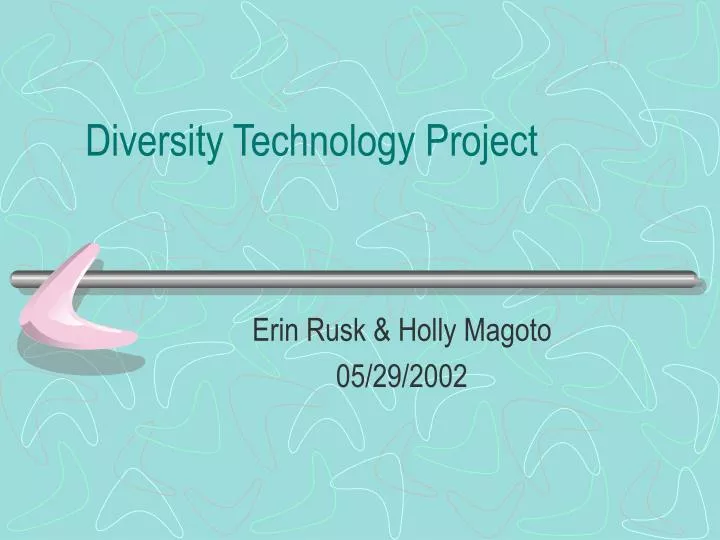 diversity technology project