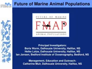 Future of Marine Animal Populations