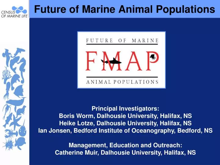future of marine animal populations