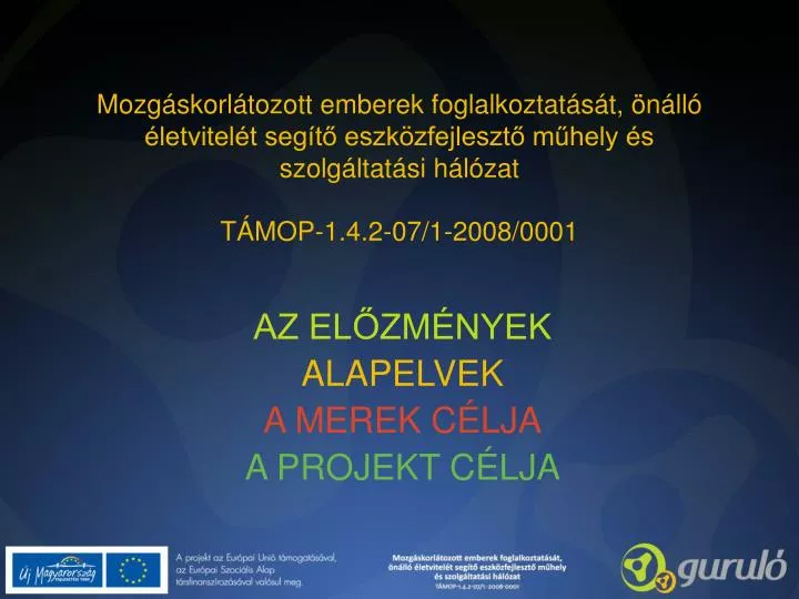 az el zm nyek alapelvek a merek c lja a projekt c lja