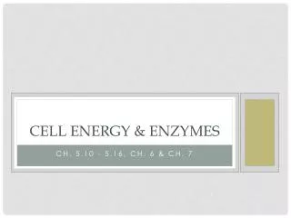 Cell Energy &amp; Enzymes
