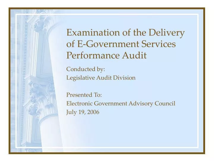 examination of the delivery of e government services performance audit