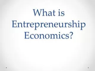 What is Entrepreneurship Economics?