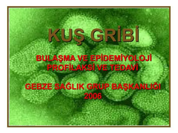 ku gr b