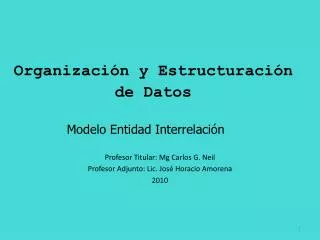 organizaci n y estructuraci n de datos