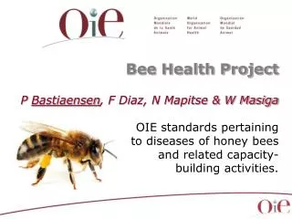Bee Health Project