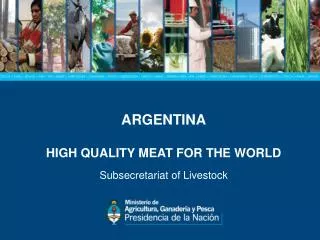 ARGENTINA HIGH QUALITY MEAT FOR THE WORLD Subsecretariat of Livestock