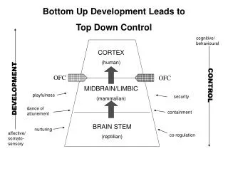 Bottom Up Development Leads to Top Down Control