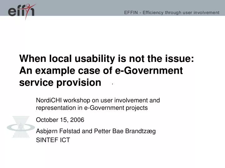 when local usability is not the issue an example case of e government service provision