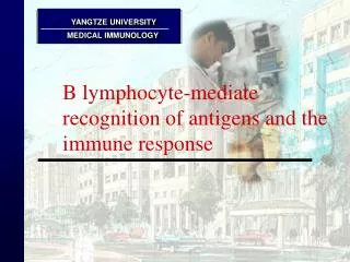 B lymphocyte-mediate recognition of antigens and the immune response