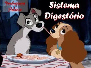 sistema digest rio