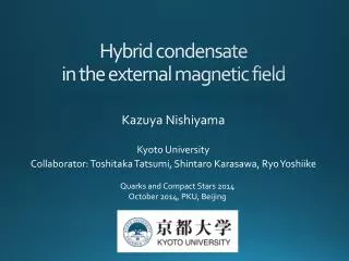 Hybrid condensate in the external magnetic field