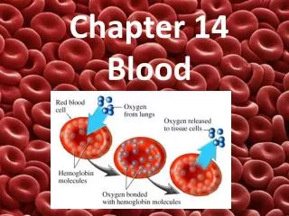 Chapter 14 Blood