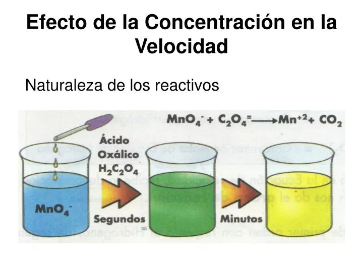 efecto de la concentraci n en la velocidad