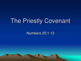 The Priestly Covenant