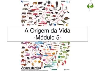 a origem da vida m dulo 5