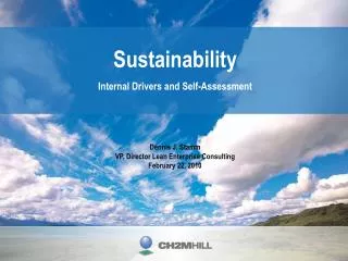 Sustainability Internal Drivers and Self-Assessment