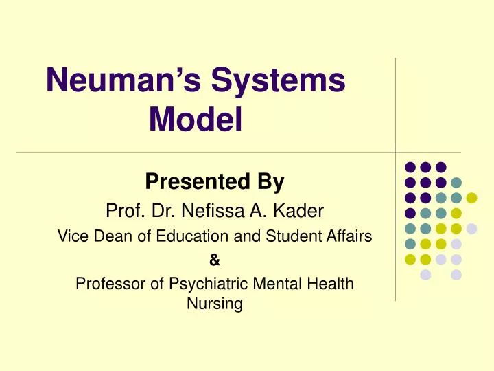 neuman s systems model