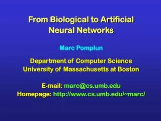 From Biological to Artificial Neural Networks Marc Pomplun Department of Computer Science