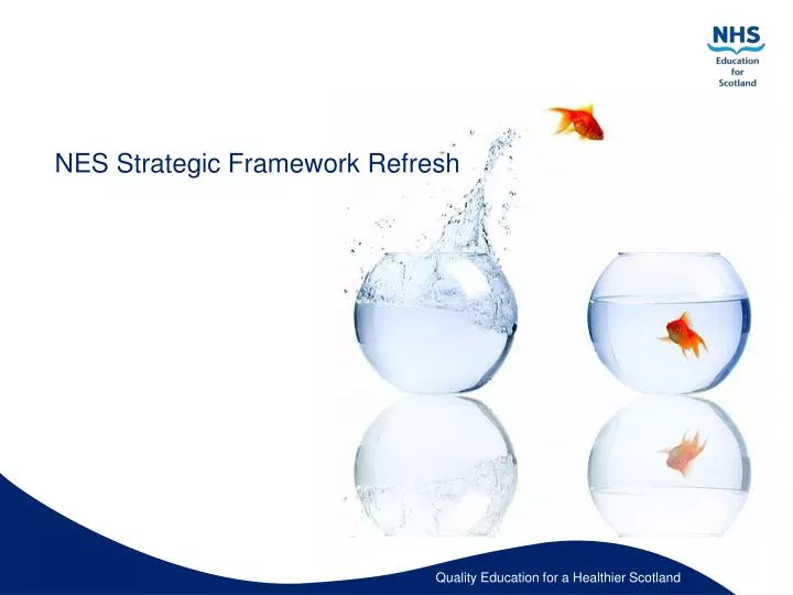 nes strategic framework refresh