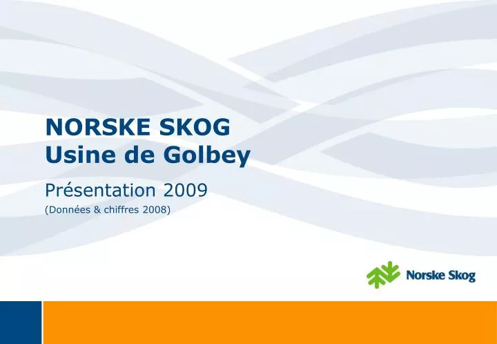 norske skog usine de golbey