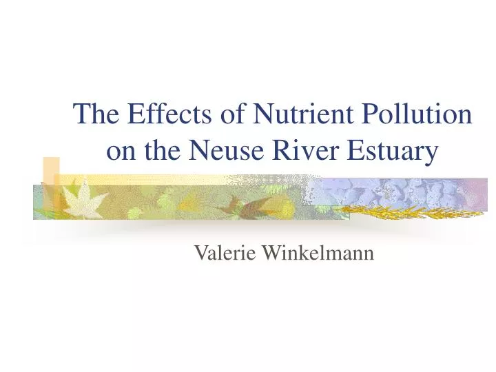 the effects of nutrient pollution on the neuse river estuary