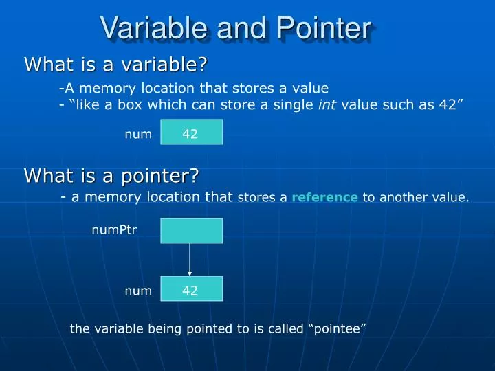 what is a variable