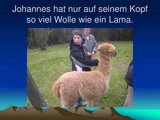 johannes hat nur auf seinem kopf so viel wolle wie ein lama