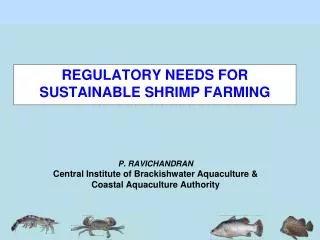 P. RAVICHANDRAN Central Institute of Brackishwater Aquaculture &amp; Coastal Aquaculture Authority
