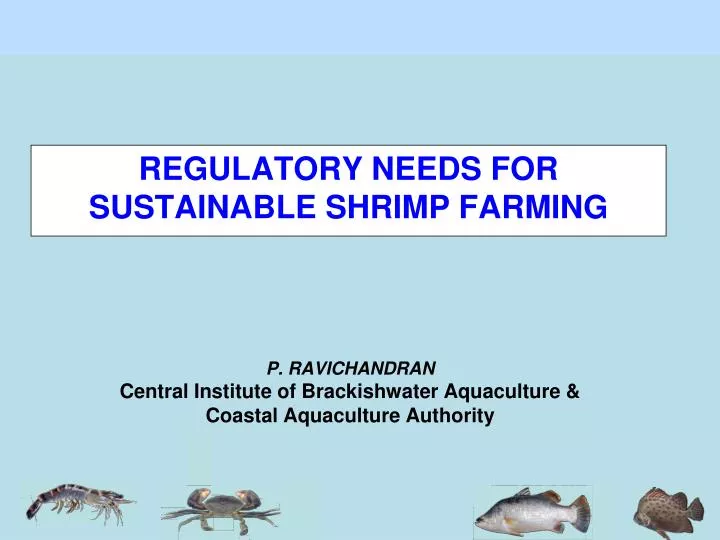 p ravichandran central institute of brackishwater aquaculture coastal aquaculture authority