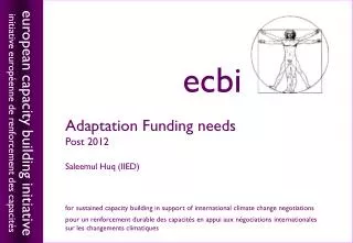 Adaptation Funding needs Post 2012 Saleemul Huq (IIED)