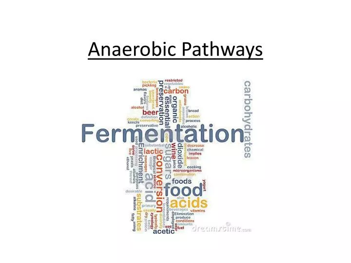 anaerobic pathways