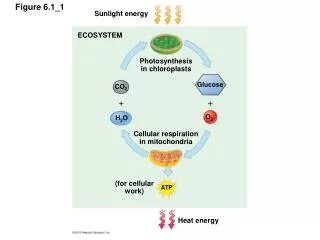 Figure 6.1_1