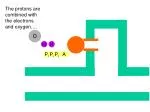 Understanding Cellular Respiration Process - slide 1