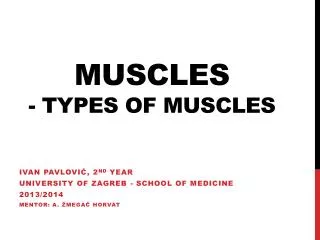 Muscles - Types of muscles