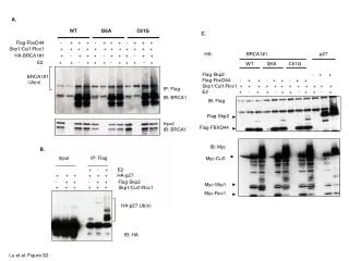 Lu et al. Figure S2