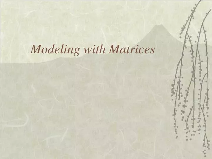 modeling with matrices