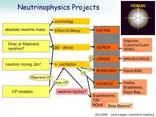 Neutrinophysics Projects