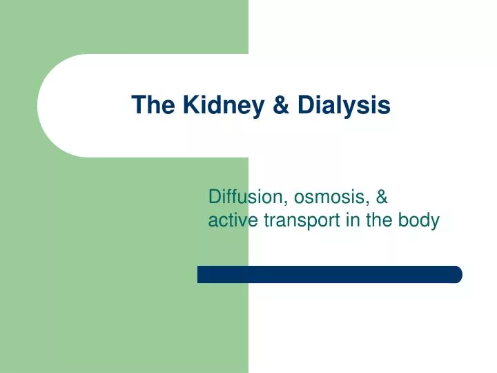 the kidney dialysis