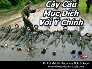 c y c u m c ch v i ch nh
