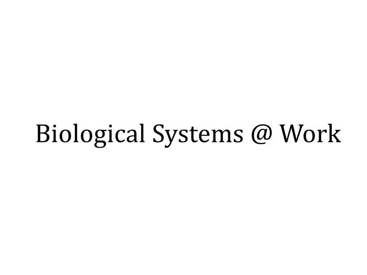biological systems @ work