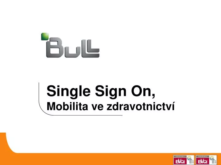single sign on mobilita ve zdravotnictv