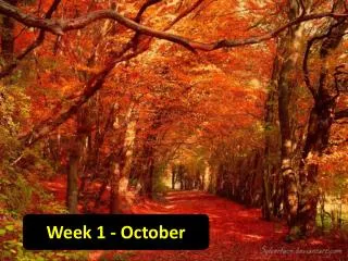 Week 1 - October