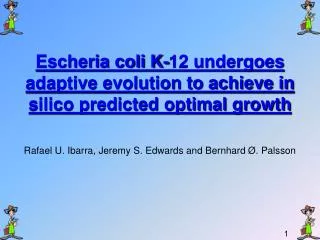 Escheria coli K-12 undergoes adaptive evolution to achieve in silico predicted optimal growth