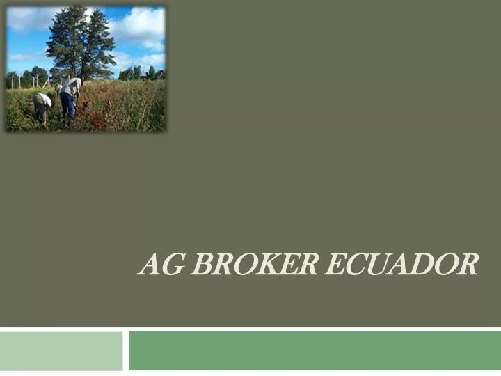 ag broker ecuador