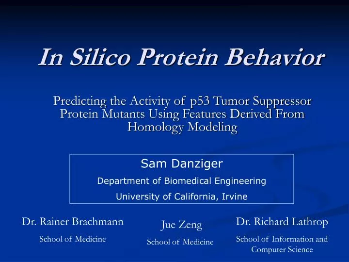 in silico protein behavior